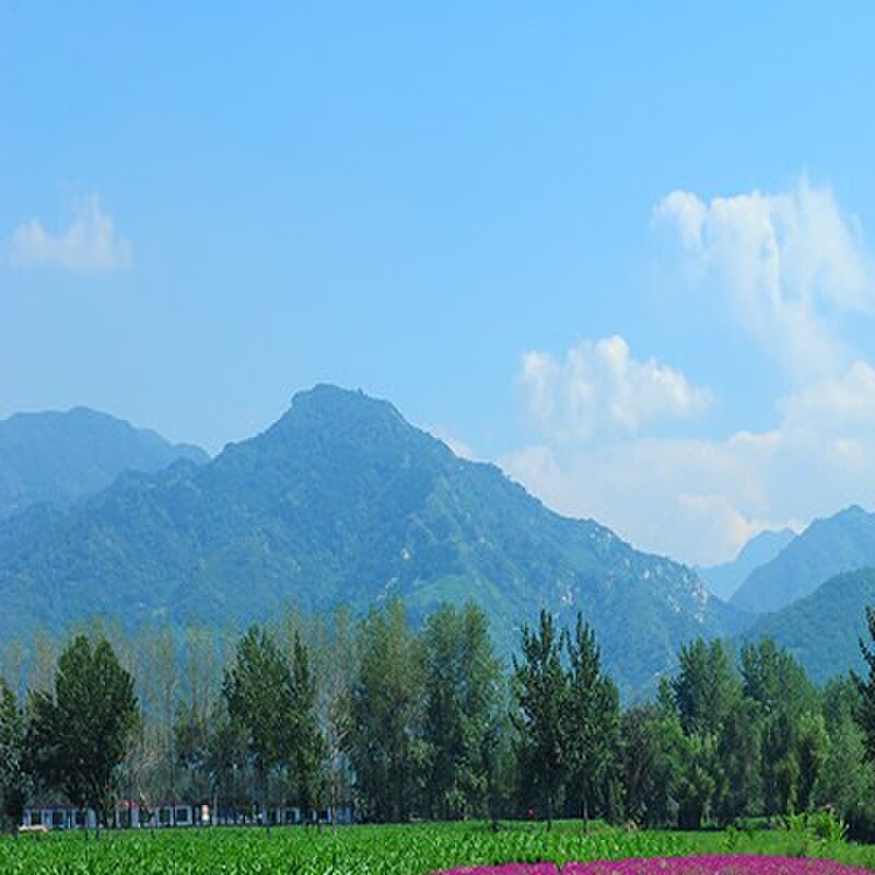 外景风景直播背景布高级感直播间装饰主播背景布立体高清山水田园