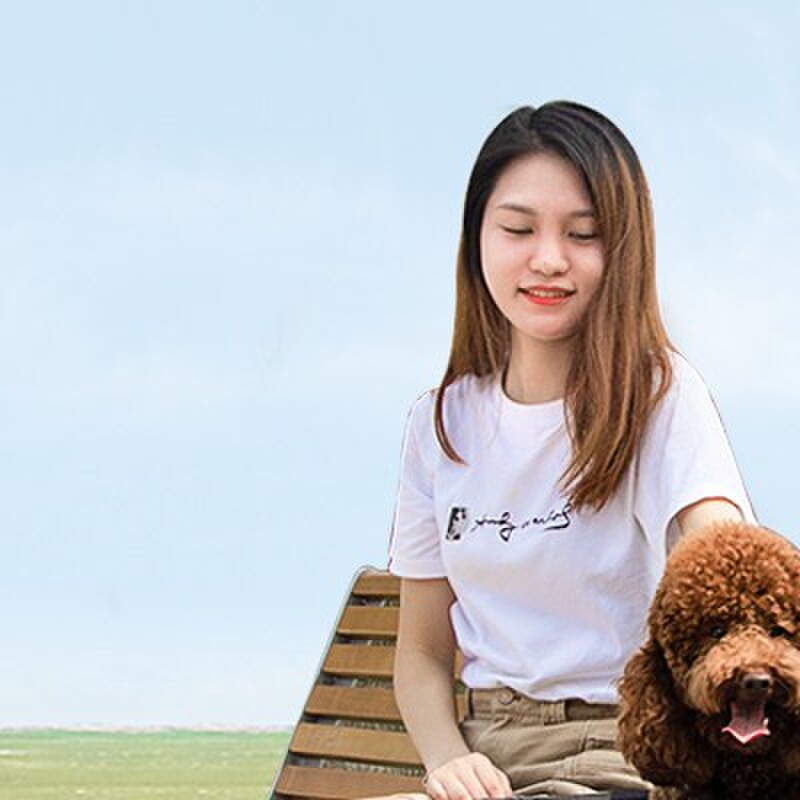 DODOPET宠物手推车轻便车包分离摺叠狗狗外出车两只猫咪户外猫笼