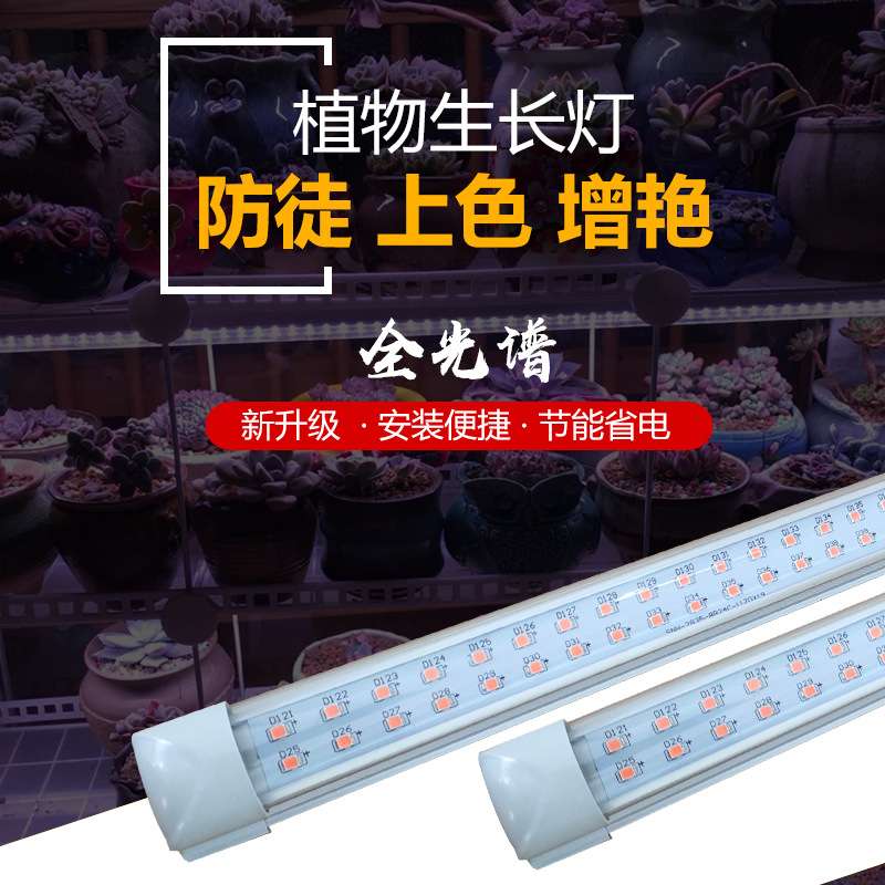 植物灯串联线T8T5通用联接线三心双头连接线 30cm双头连接线