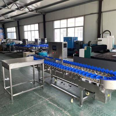 海参重量分选机小龙虾重量分选机鲅鱼重量分级机