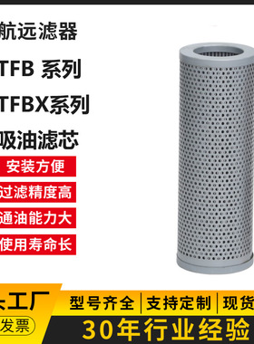 TFBX-70×10 20 30 80 搅拌车液压滤芯