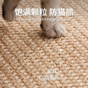 轻奢侘寂风仿羊毛卧室地垫高级感 地毯客厅菠萝圈奶油风茶几毯日式