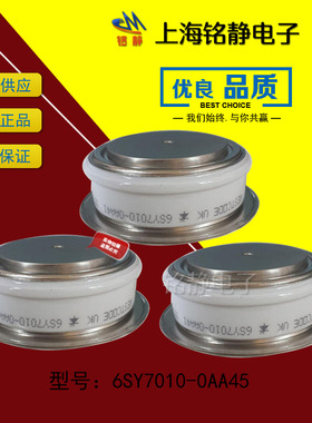 德国西M子可控硅/晶闸管6SY7010-0AA40/6SY7010-0AA44