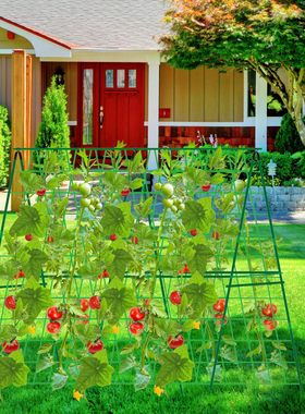 48inch花园黄瓜架带网和扎带的重型可拆卸花园架用于攀爬室外黄瓜