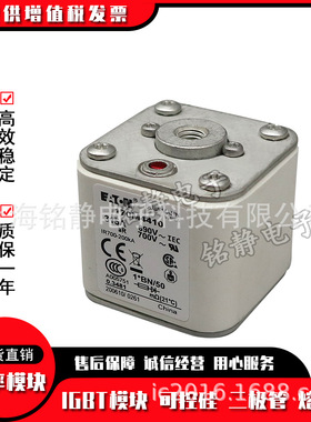 熔断器保险丝170M3444 170M3445 170M3446 170M3447 170M3448