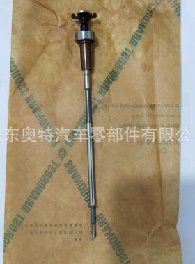 共轨喷油器 阀组件 F00VC45200  F00VC01201