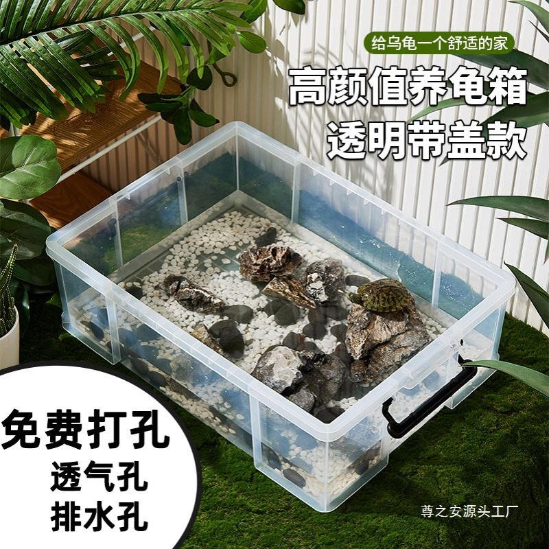 乌龟周转箱饲养缸大号带盖生态造景塑料透明乌龟缸鱼缸家用水族箱