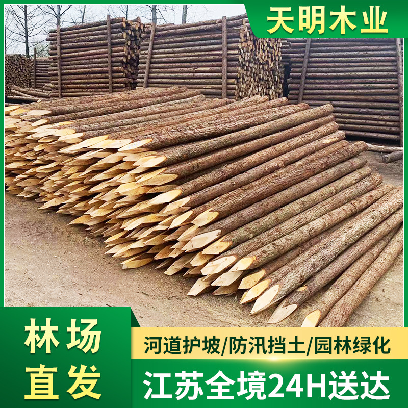 【现货批发】多规格5米防汛木桩 杉木桩河道工程木桩 削尖打桩木