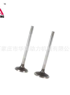 道依茨BFM1013进气门04255254 04283380排气门04255255 04283381