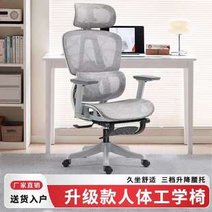 优兰森人体工学椅久坐舒适办公椅子靠背椅家用电脑椅书房电竞座椅
