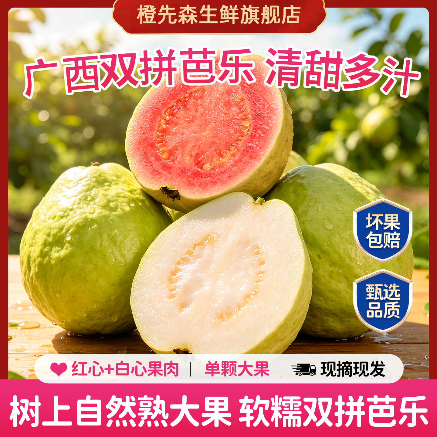 橙先森顺丰包邮广东红心芭乐应季新鲜水果软糯香甜番石榴水果礼盒