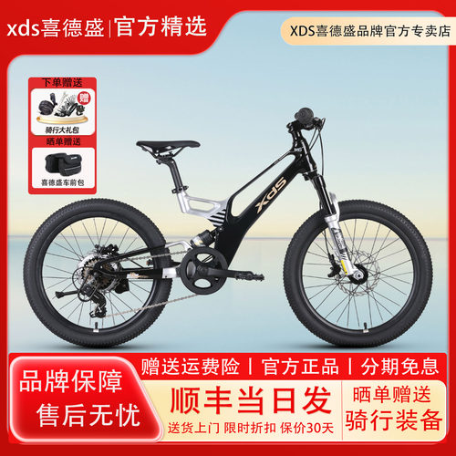 XDS喜德盛镁合金山地自行车20寸