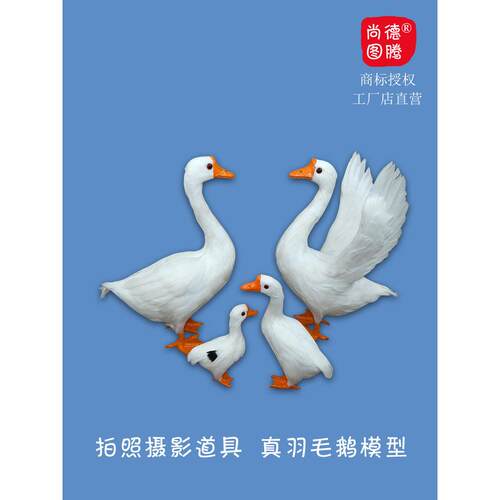 模拟鹅模型摄影大白鹅装饰品室内花园草装饰鹅摄影摄影道具鹅鸭