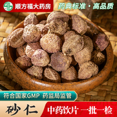 砂仁中药饮片500g药用砂仁中药材正品 砂仁大药房抓药官方旗舰店