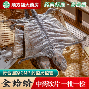 蛤蚧中药饮片全蛤蚧中药材蛤蚧干货大蛤蚧一对全哈蚧泡酒料药材