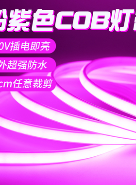 粉紫色led灯带220v粉紫色玫红色光户外防水氛围灯条家用柔性软灯