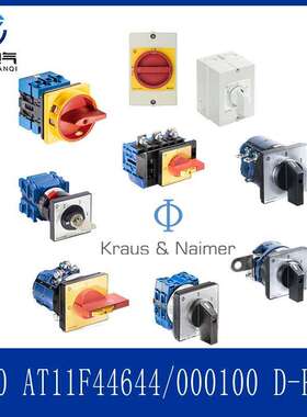 奥地利K.N组合开关 CA10 AT11F446 44/000100 D-P236 原装进口货