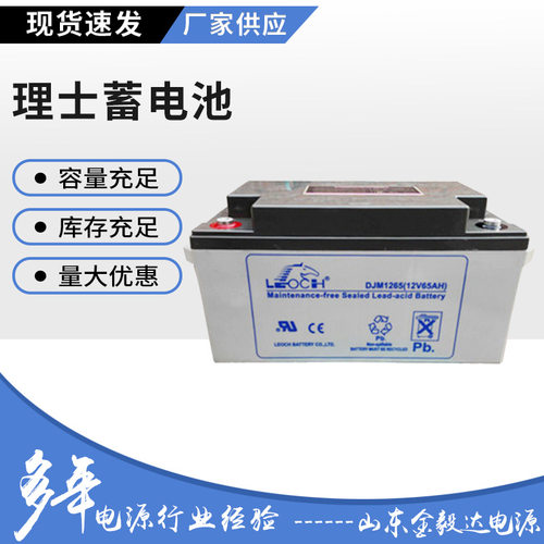 理士蓄电池DJM1238S 理士电池12V38AHUPS电源EPS电源直流屏等专用