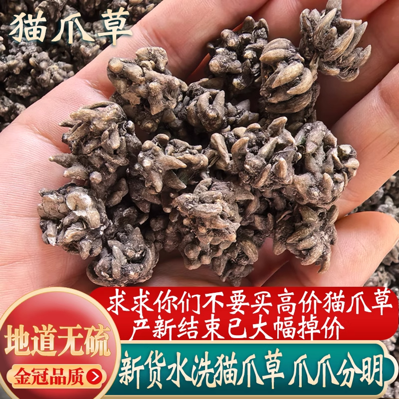 野生猫爪草中药材干货正品水洗猫爪草猫瓜草猫爪茶夏枯草蒲公英