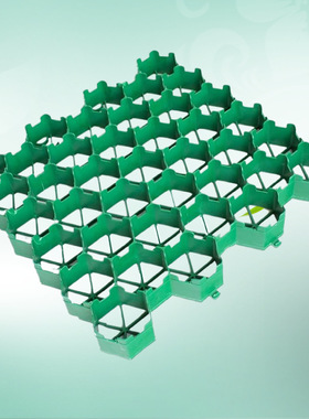 上海现货停车场植草格5.0公分园林绿色绿化工程用停车位草坪格转