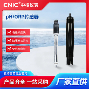 PH计电极PH/ORP传感器污水养殖酸碱度ph计探头