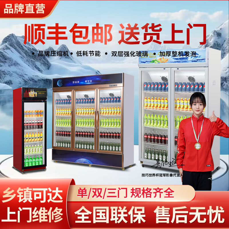 饮料展示柜商用大容量饮料啤酒冷藏酒水柜双门冷藏展示柜超市冰柜