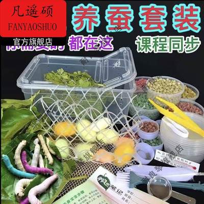 蚕宝宝学生养蚕套装活蚕卵三年级下册七彩色蚕宝宝豪华别墅桑叶