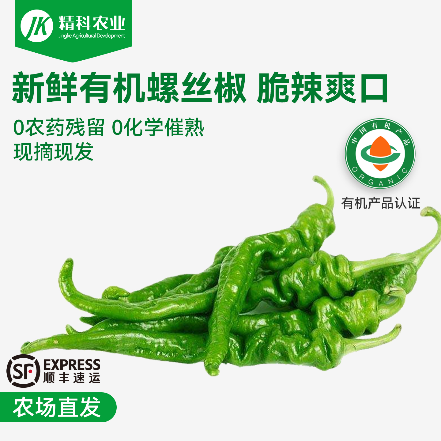 精科有机螺丝椒新鲜蔬菜当季现摘现发自然熟螺丝椒农家自种螺丝椒