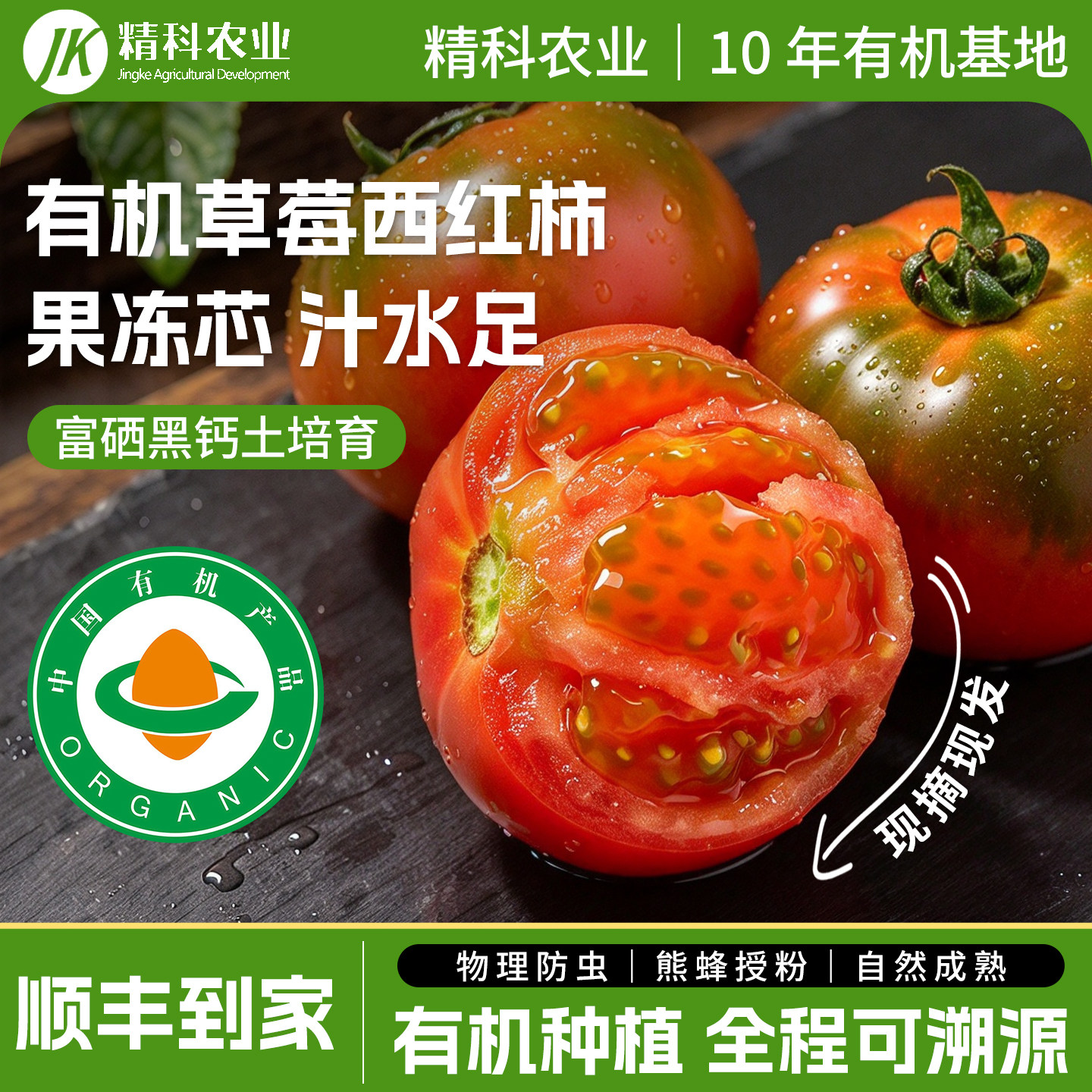 精科有机草莓西红柿新鲜自然熟铁皮柿子孕妇水果沙瓤番茄蔬菜