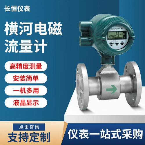 横河电磁流量计AXG横河电磁流量计AXF065G-E2AL1S-AD21-21BSE115M