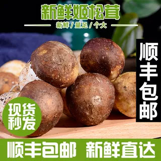 顺丰新鲜姬松茸菌赤松茸大球盖菇云南特产火锅煲汤食材松茸食用菌