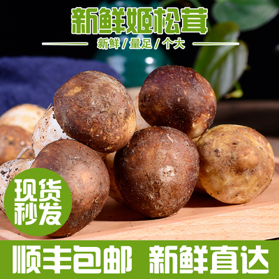 顺丰新鲜姬松茸菌赤松茸大球盖菇云南特产火锅煲汤食材松茸食用菌