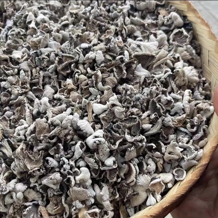 云南高山野生小白参菌100g/500g