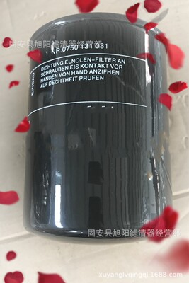 供应0750131031 0750131053液压滤芯 工程机械变速箱液压油滤清器