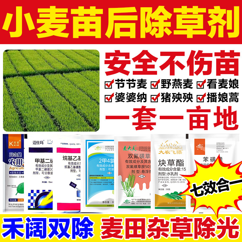 小麦除草剂麦田除草炔草酯苯磺隆二甲四氯钠冬小麦苗后除草专用剂