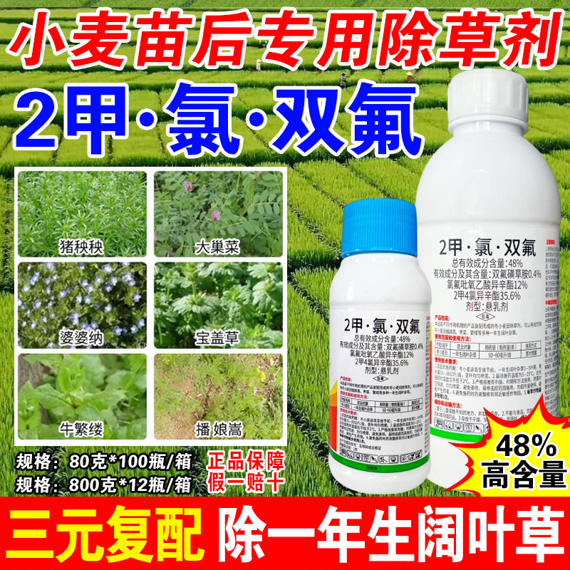 小麦苗后除草专用剂炔草酯2甲氯双氟禾阔双除节节草野燕麦除草剂