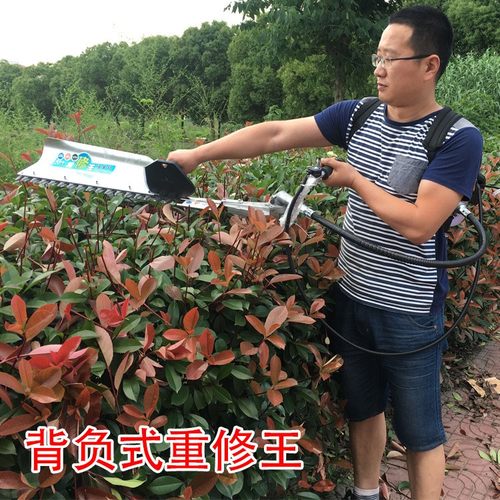蒙驰背负式绿篱机汽油华盛 茶叶茶树修剪机粗枝剪绿篱剪绿化园林