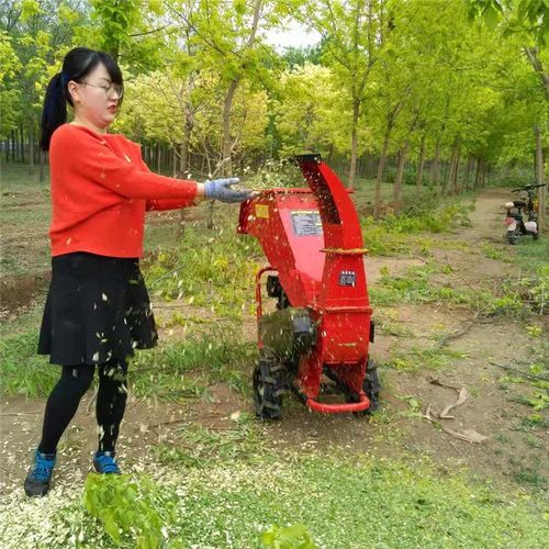 移动式果树枝条破碎机小型干鲜树枝粉碎机柴油大马力葡萄枝碎木机