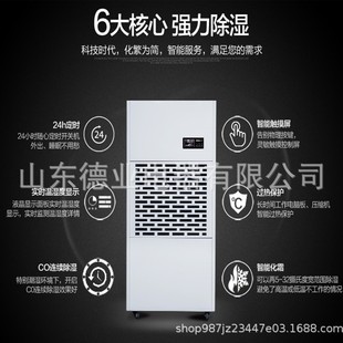 山东济南送货上门DY A配电房厂房车间仓库工业除湿机 6240