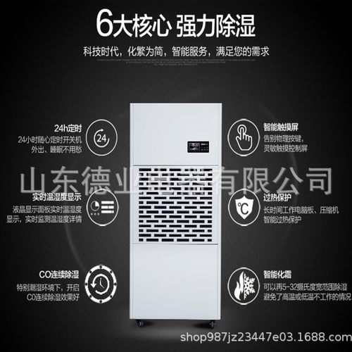山东济南送货上门DY-6240/A配电房厂房车间仓库工业除湿机