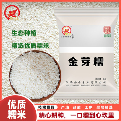 香糯米2025新米优质长粒软弹香糯