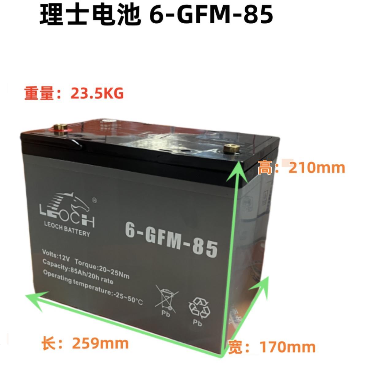 理士6-GFM-85 6-GFM-100 12V85ah105ah诺力小金刚电动叉车电池