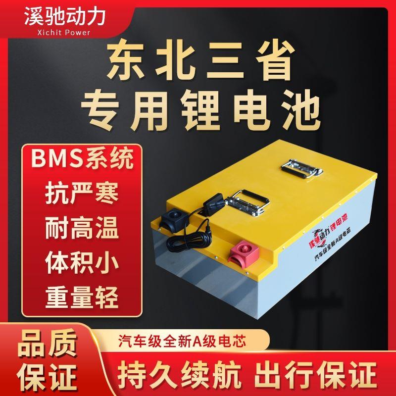 电动车48V锂电池三轮四轮60V低速电轿老年代步车72V大容量锂电瓶