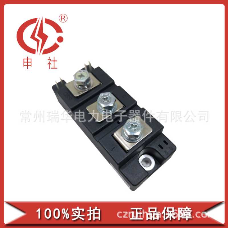 申社 常州瑞华 厂家直供 整流管桥臂模块MTA1301636
