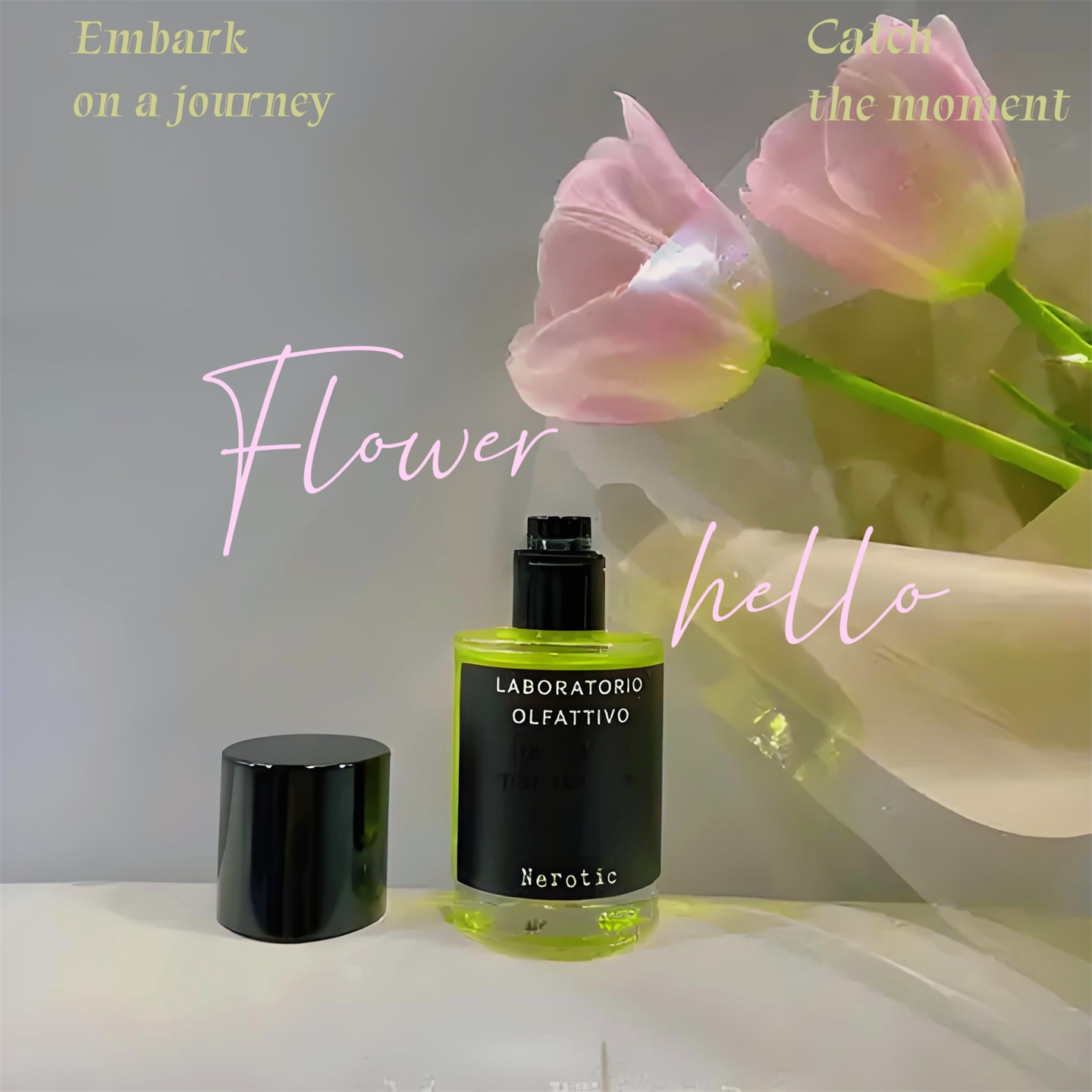 香识之城雪松万物生长香水小样