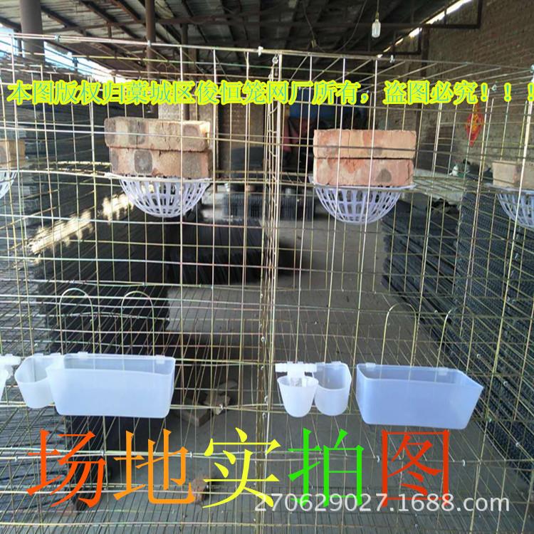 本厂可以来图制作养殖笼具鸡笼鸽笼兔笼