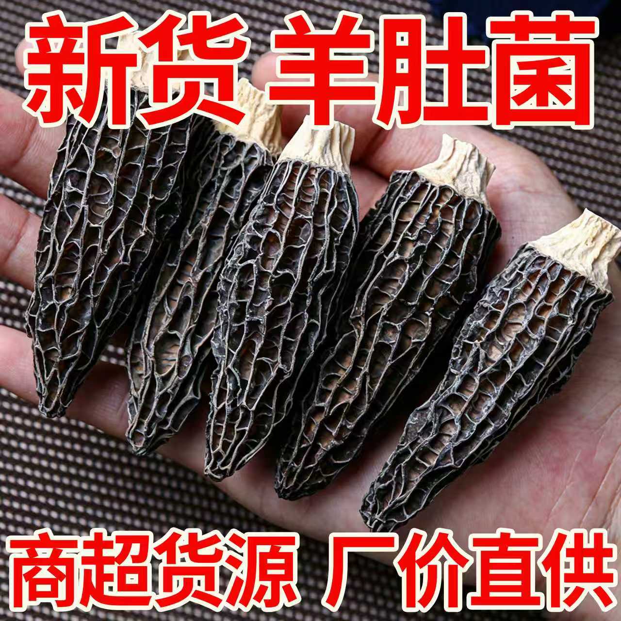 【农科推荐】肉厚无沙羊肚菌