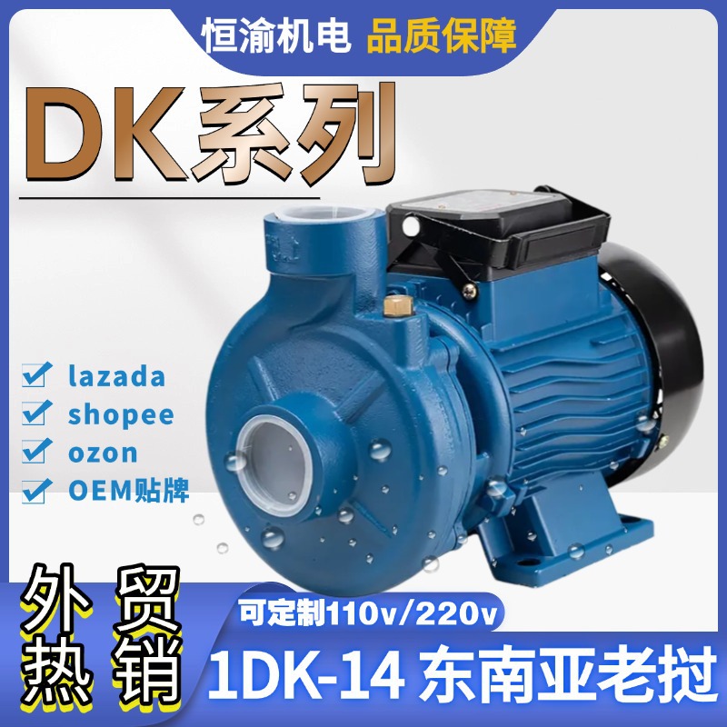 外贸DK系列旋涡泵1DK-14 booster pum大流量增压泵220v欧规东南亚