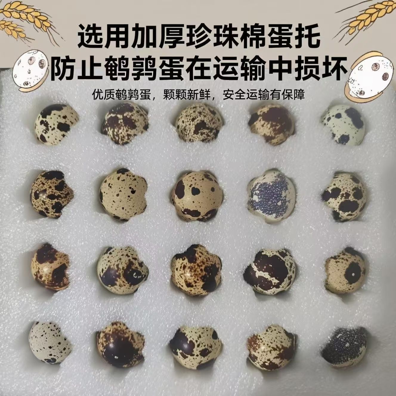 鹌鹑蛋日期新鲜生的农家散养一整箱批发顺丰孕妇宝宝营养辅食