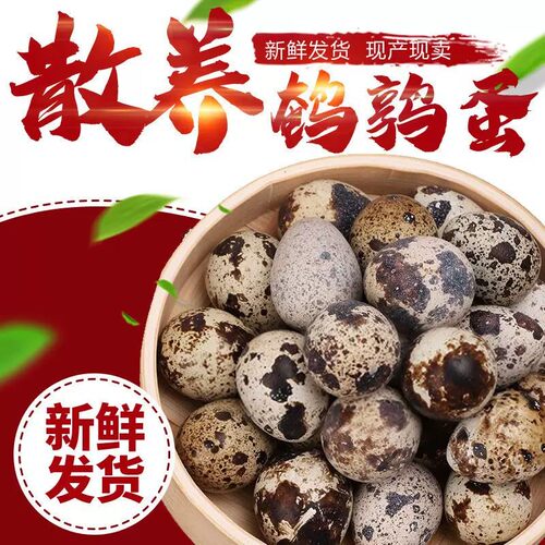 农家散养鹌鹑蛋40枚当日现捡现发新鲜鹌鹑蛋孕妇宝宝辅食生鹌鹑蛋